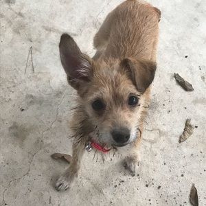 Meet your Posher, Janee